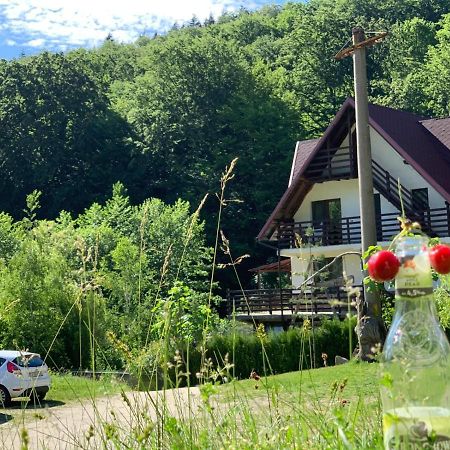 Havva Hotel Călimăneşti Zewnętrze zdjęcie