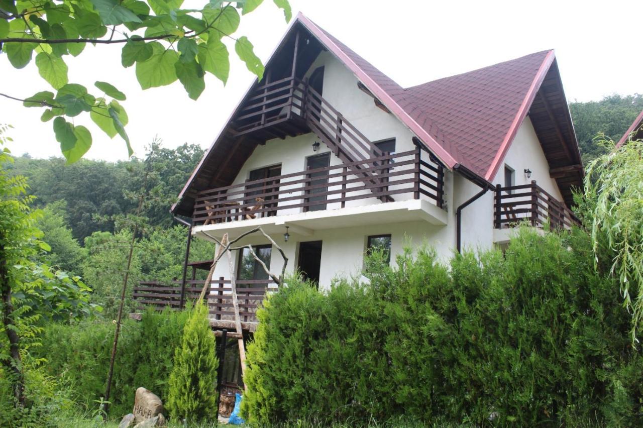 Havva Hotel Călimăneşti Zewnętrze zdjęcie