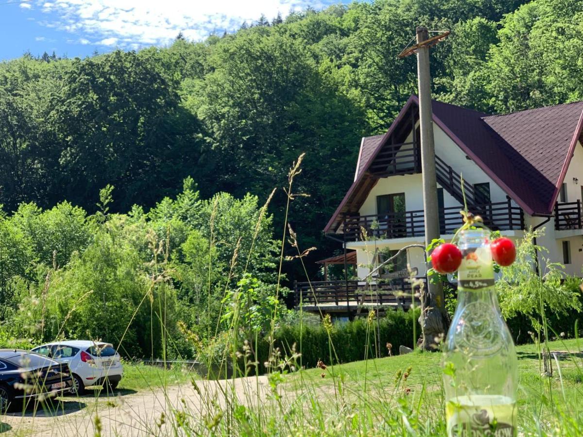 Havva Hotel Călimăneşti Zewnętrze zdjęcie