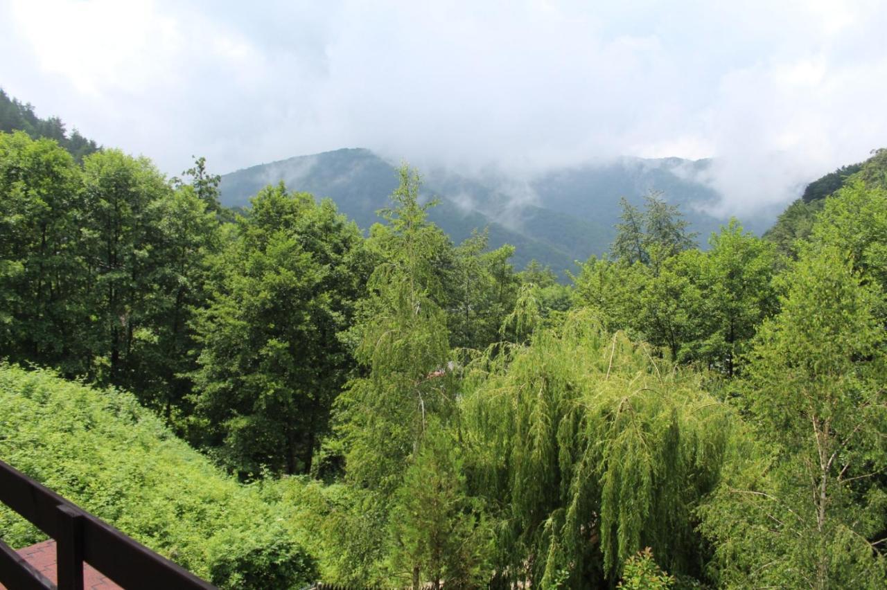 Havva Hotel Călimăneşti Zewnętrze zdjęcie