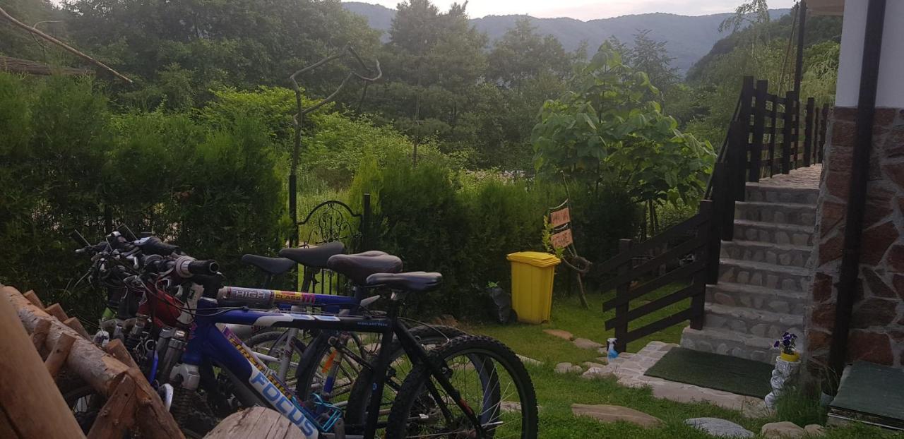 Havva Hotel Călimăneşti Zewnętrze zdjęcie
